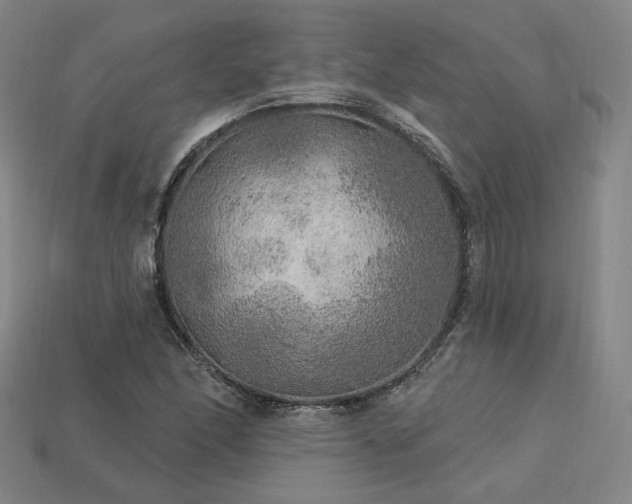 X0000113961166200909251354
