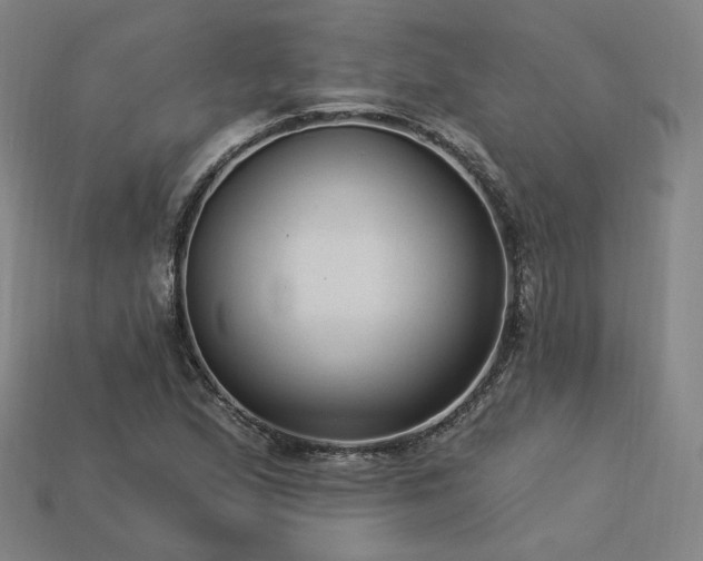 X0000113961167200909251354