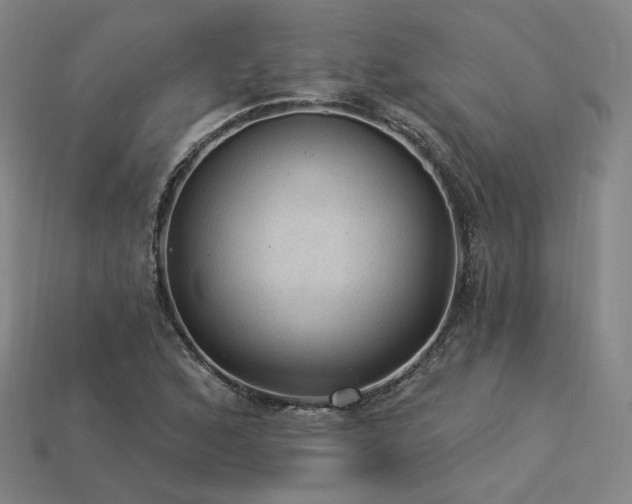 X0000113961168200909251354