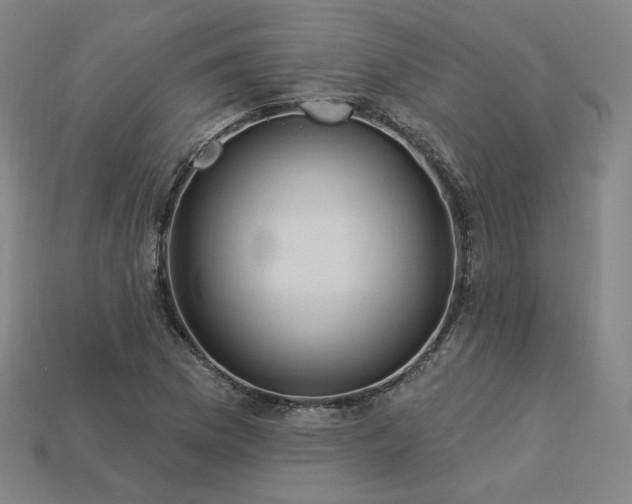 X0000113961169200909251354