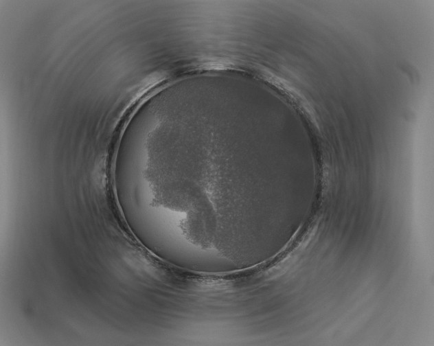 X0000113961170200909251354