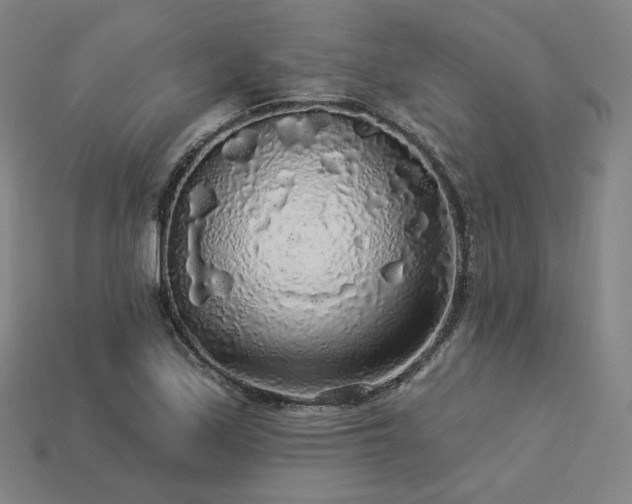 X0000113961171200909251354