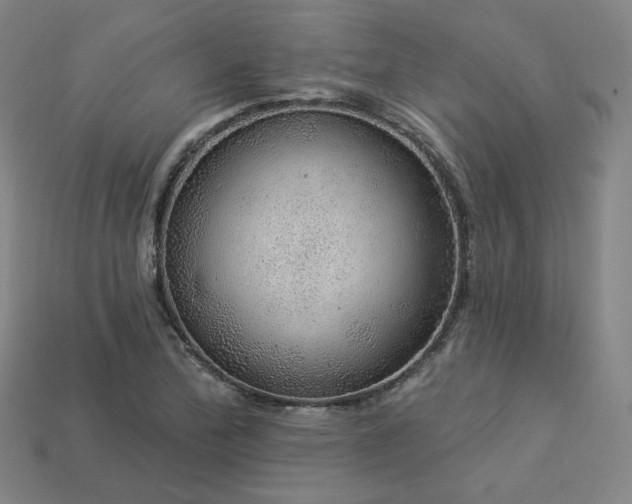 X0000113961172200909251354