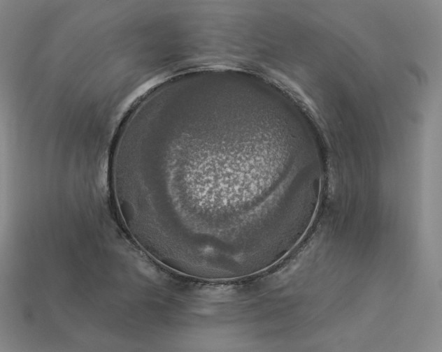 X0000113961174200909251354