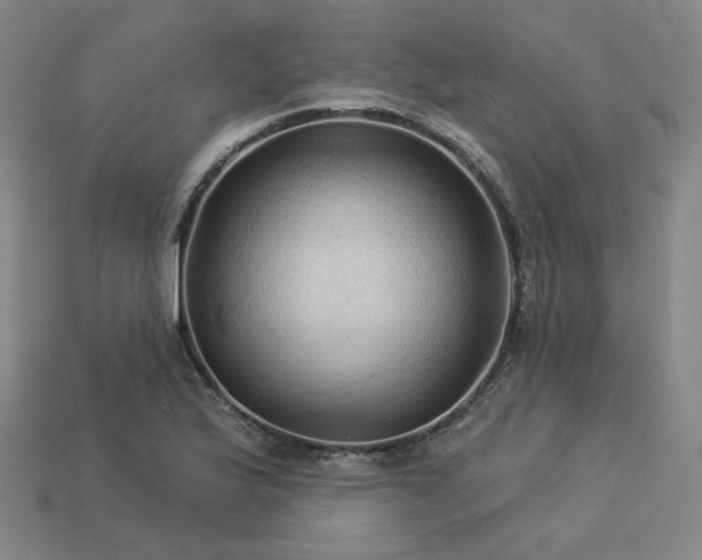 X0000113961175200909251354