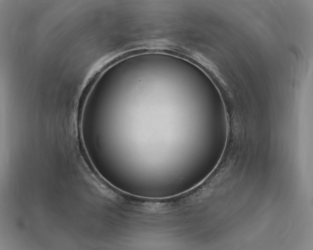 X0000113961176200909251354
