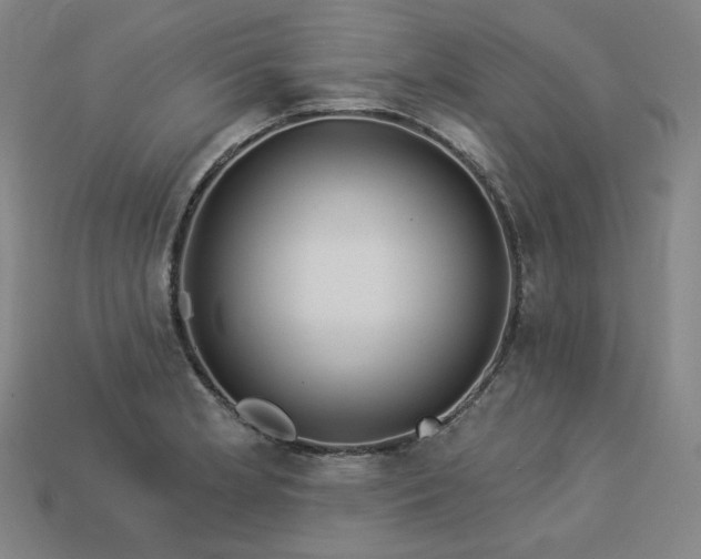 X0000113961181200909251353