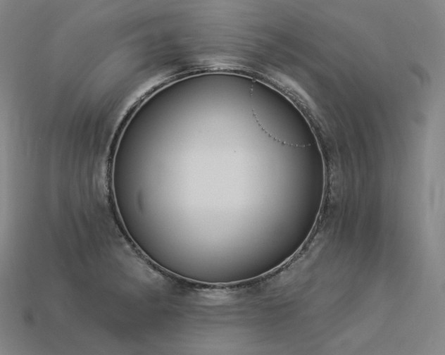 X0000113961182200909251353