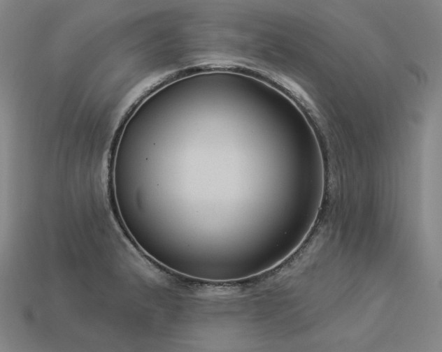 X0000113961183200909251353