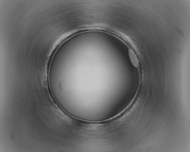 X0000113961184200909251353