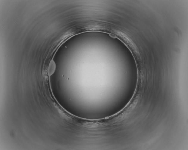 X0000113961185200909251353