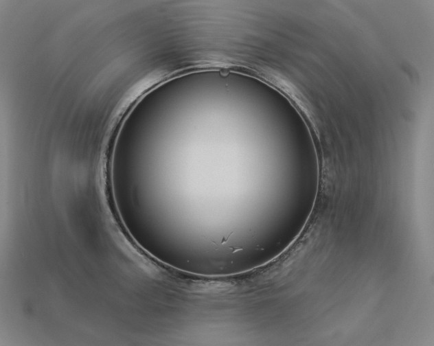 X0000113961187200909251353