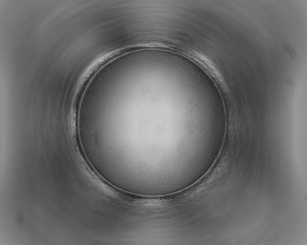 X0000113961188200909251353