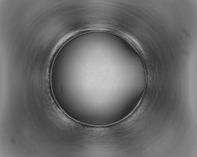 X0000113961192200909251353