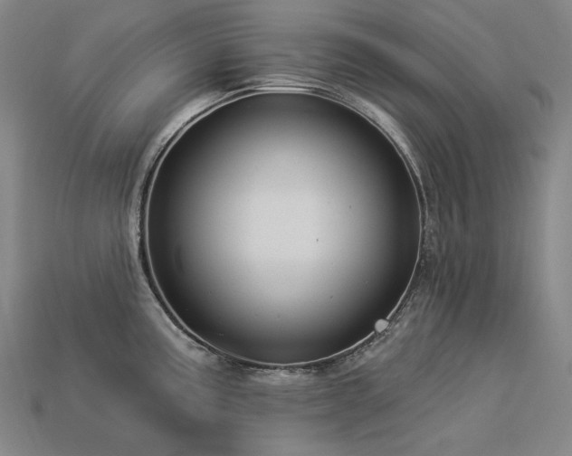 X0000113961195200909251353