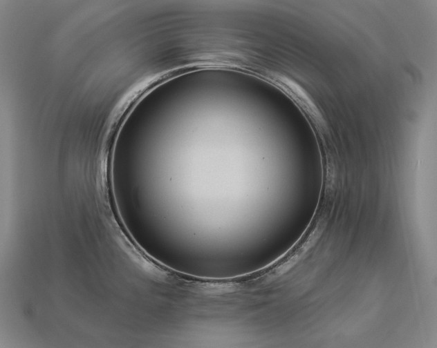 X0000113961196200909251353