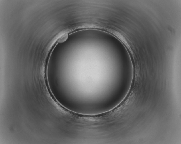 X0000113961197200909251353