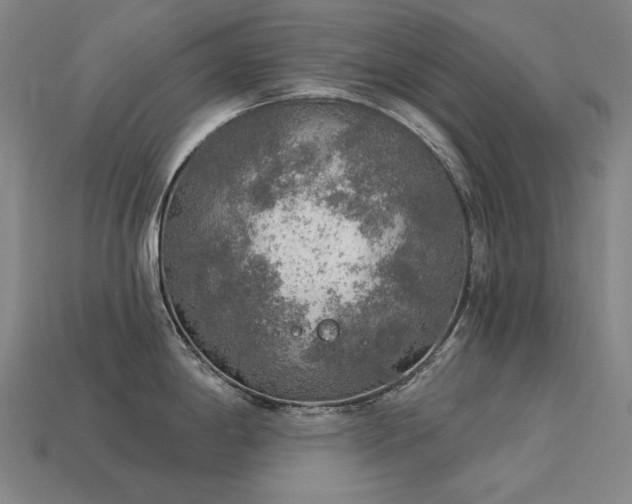X0000113961198200909251353