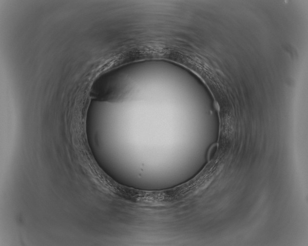 X0000113961201200909251352