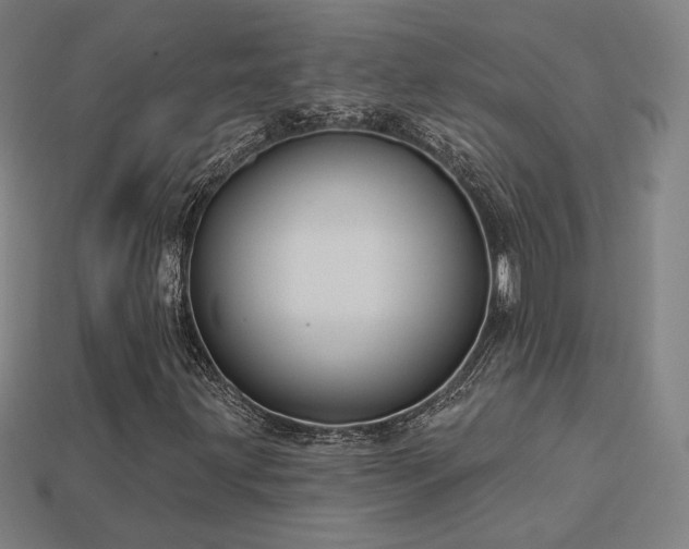 X0000113961203200909251352