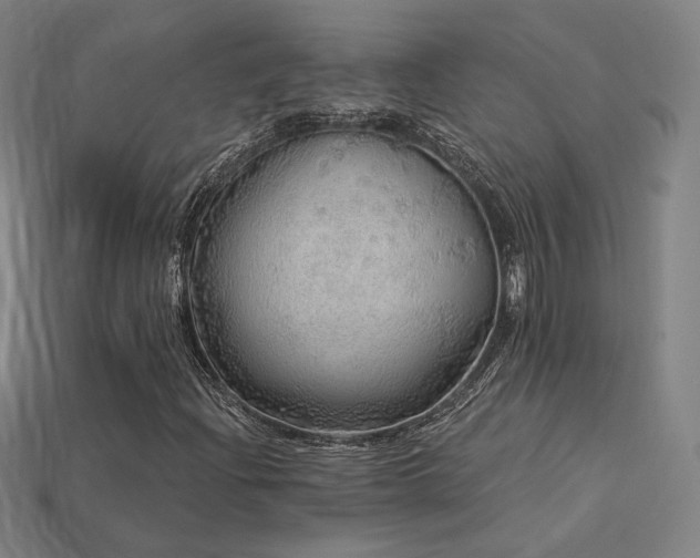 X0000113961204200909251352