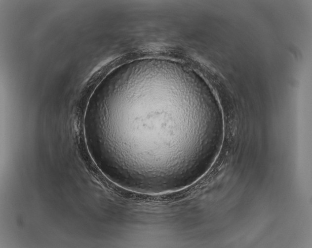X0000113961206200909251353