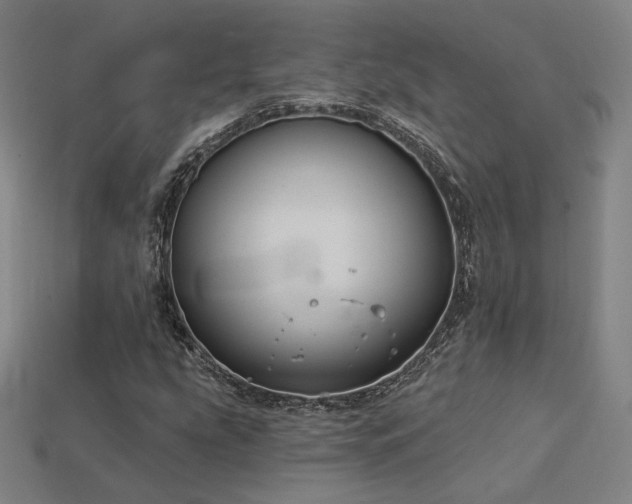 X0000113961207200909251353