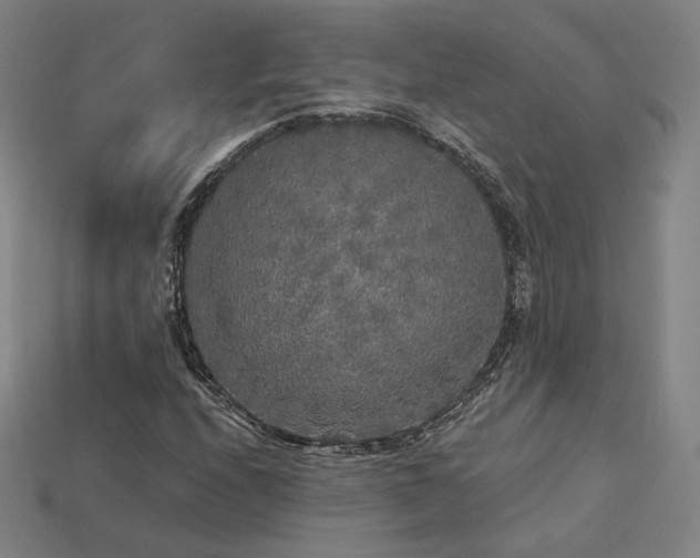 X0000113961208200909251353