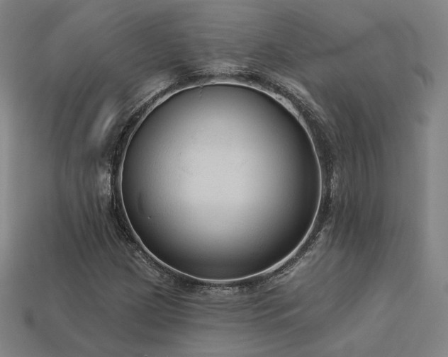 X0000113961209200909251353