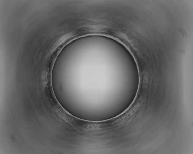 X0000113961211200909251353
