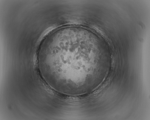 X0000113961215200909251353