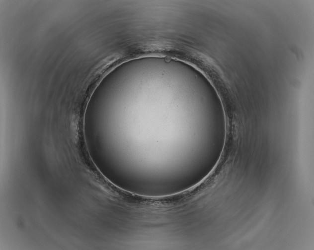 X0000113961217200909251353