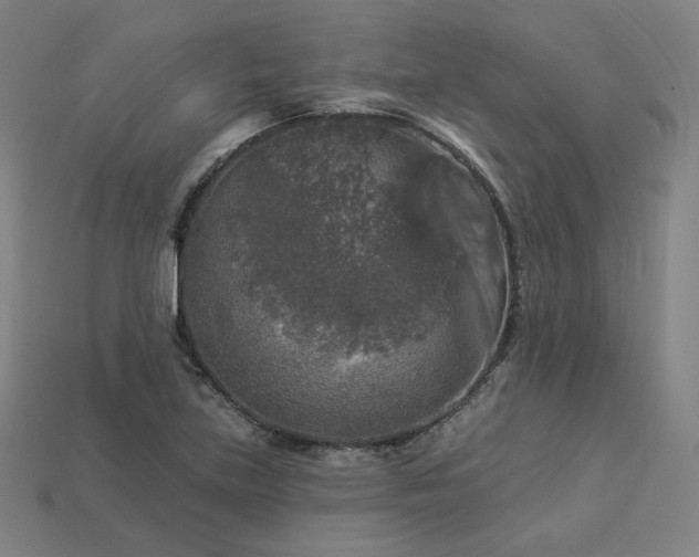 X0000113961219200909251353
