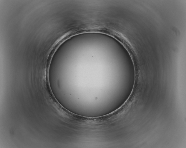 X0000113961220200909251353
