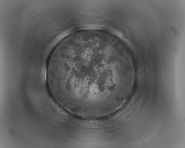 X0000113961221200909251353