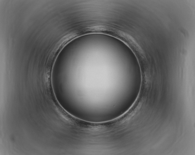 X0000113961225200909251353