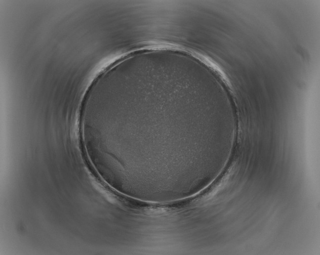 X0000113961231200909251353
