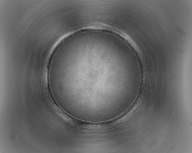 X0000113961232200909251353