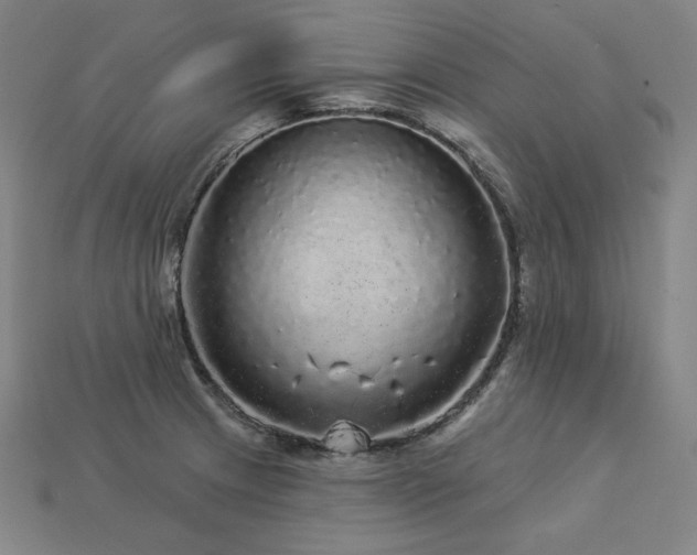 X0000113961233200909251353