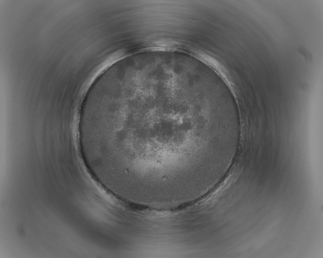 X0000113961235200909251353