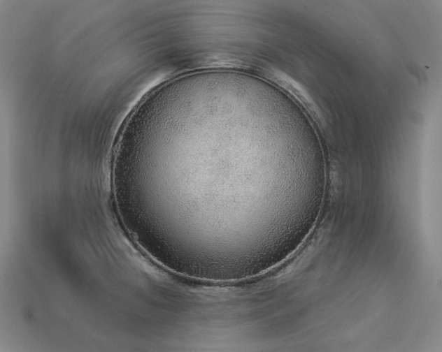 X0000113961236200909251353