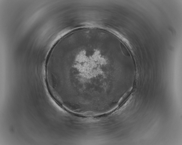 X0000113961239200909251353