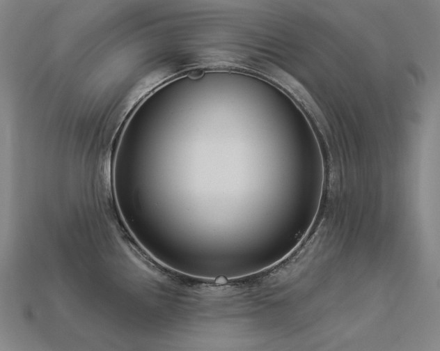 X0000113961242200909251353