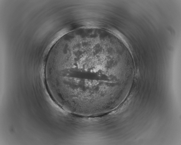X0000113961243200909251353