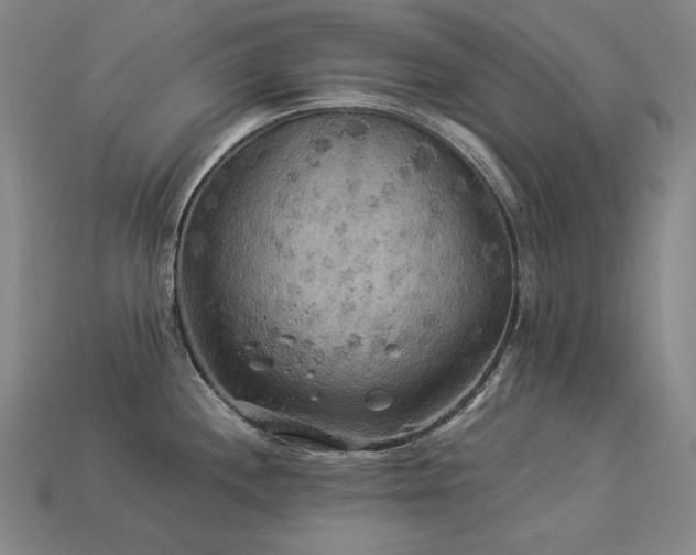 X0000113961244200909251353