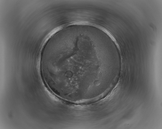 X0000113961245200909251353