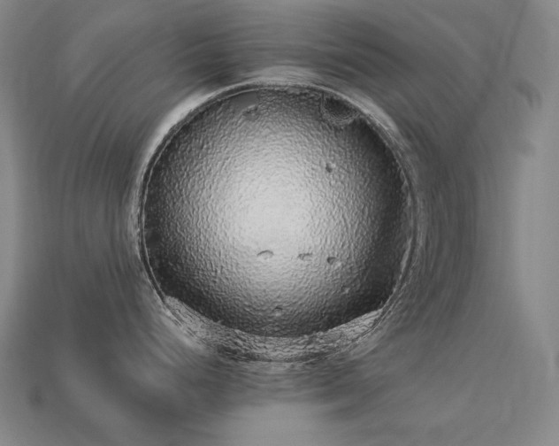 X0000113961248200909251353