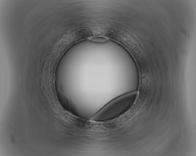 X0000113961249200909251352