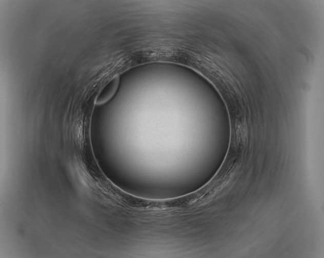 X0000113961250200909251352