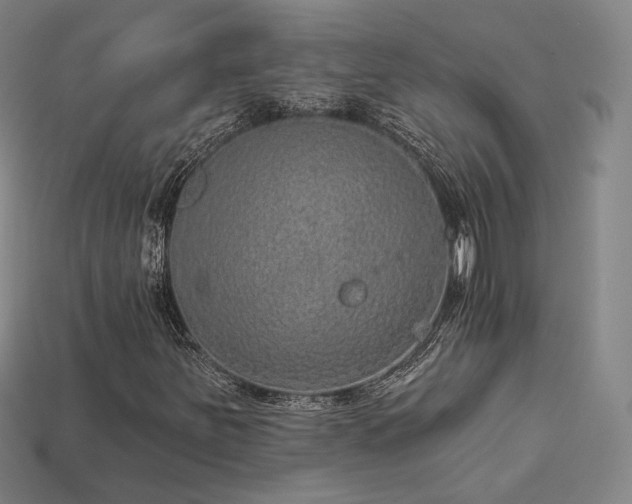 X0000113961251200909251352